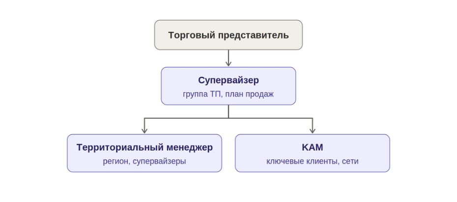 Схема карьерного роста торгового представителя: от торгового представителя к супервайзеру